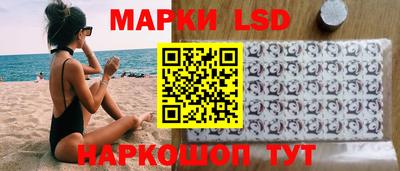 МДПВ Бердск