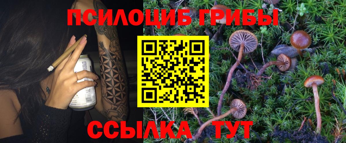 Галлюциногенные грибы прущие грибы  Галлюциногенные грибы GOLDEN TEACHER  Горно-Алтайск  Вход с VPN 